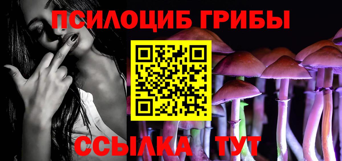 Северск  Галлюциногенные грибы MAGIC MUSHROOMS  цена наркотик  Псилоцибиновые грибы ЛСД  Вход с VPN 