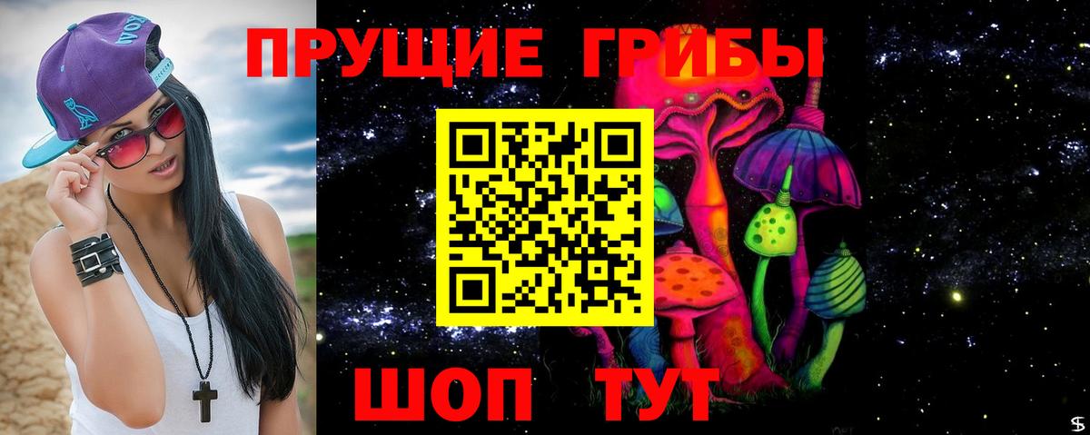 Галлюциногенные грибы мицелий Северск